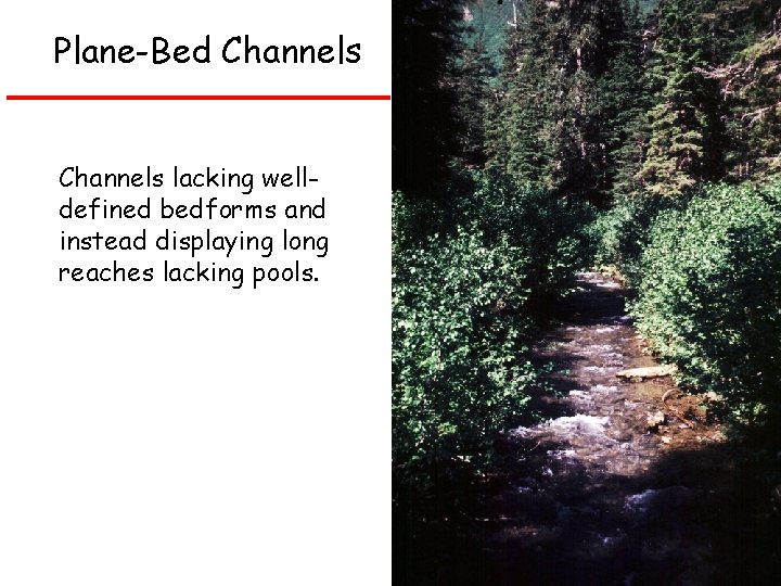 Plane-Bed Channels lacking welldefined bedforms and instead displaying long reaches lacking pools. 