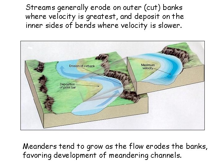 Streams generally erode on outer (cut) banks where velocity is greatest, and deposit on