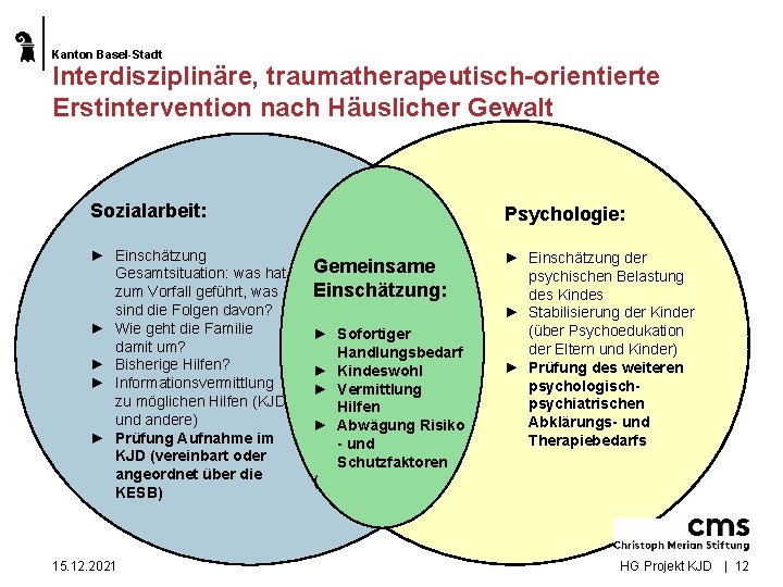 Kanton Basel-Stadt Interdisziplinäre, traumatherapeutisch-orientierte Erstintervention nach Häuslicher Gewalt Sozialarbeit: ► Einschätzung Gesamtsituation: was hat