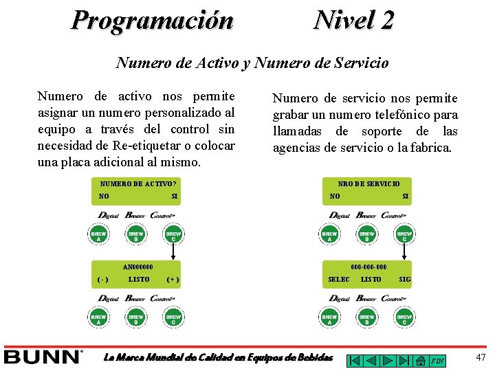 Programación Nivel 2 Numero de Activo y Numero de Servicio Numero de activo nos