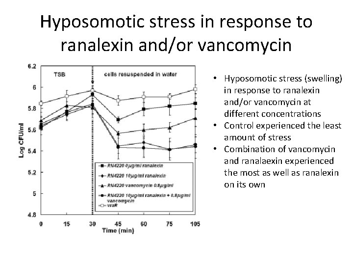 Hyposomotic stress in response to ranalexin and/or vancomycin • Hyposomotic stress (swelling) in response
