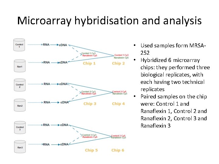 Microarray hybridisation and analysis • Used samples form MRSA 252 • Hybridized 6 microarray