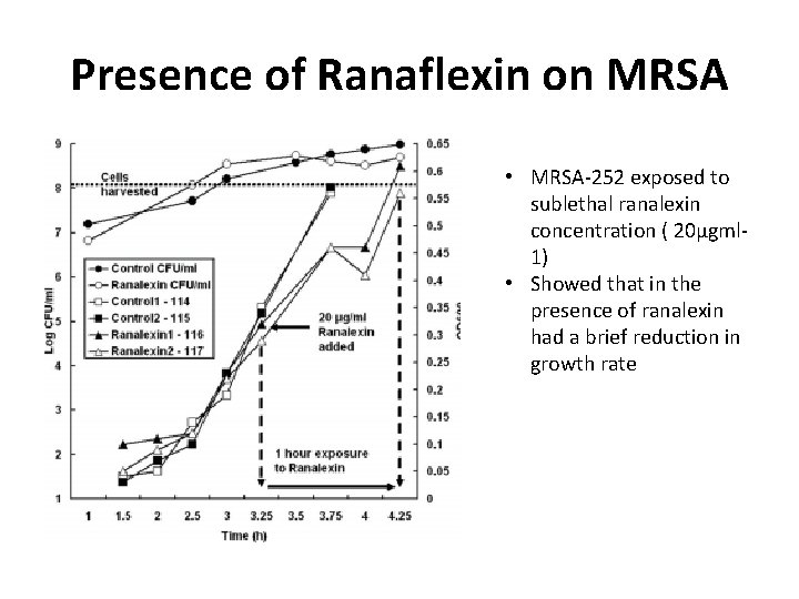 Presence of Ranaflexin on MRSA • MRSA-252 exposed to sublethal ranalexin concentration ( 20μgml