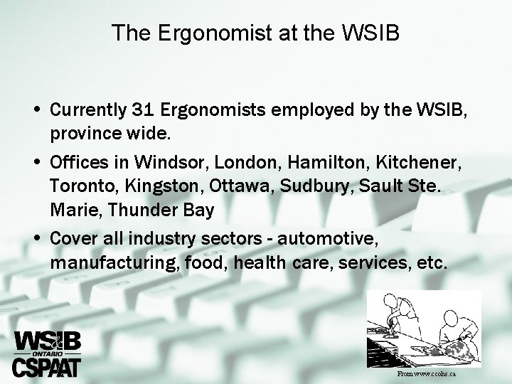 The Ergonomist at the WSIB • Currently 31 Ergonomists employed by the WSIB, province