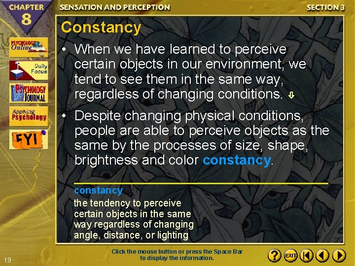 Constancy • When we have learned to perceive certain objects in our environment, we