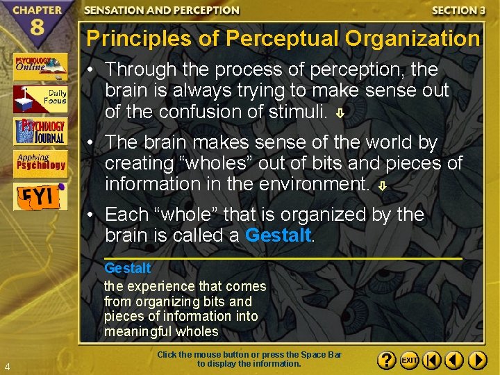 Principles of Perceptual Organization • Through the process of perception, the brain is always