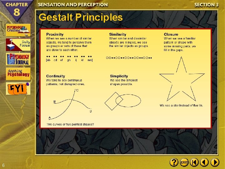 Gestalt Principles 6 