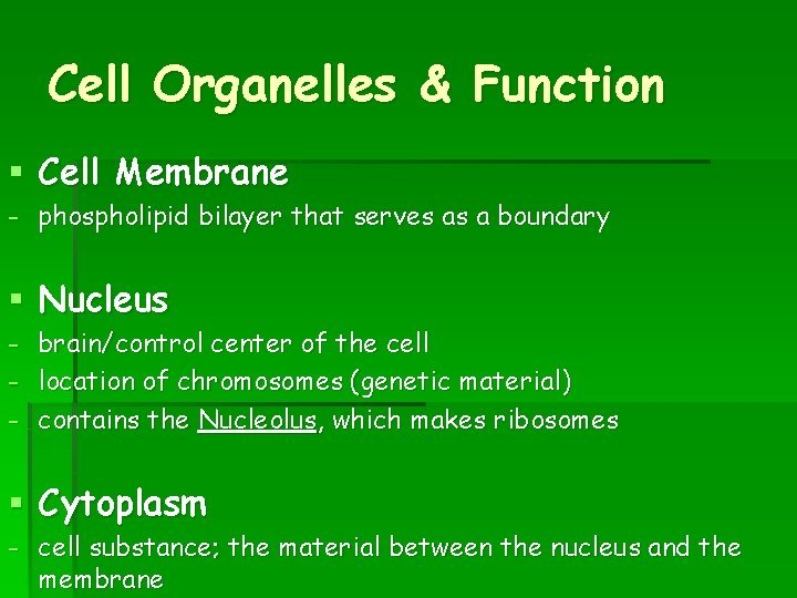 Cell Organelles & Function § Cell Membrane - phospholipid bilayer that serves as a