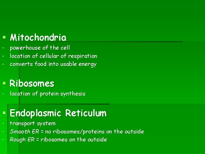 § Mitochondria - powerhouse of the cell location of cellular of respiration converts food