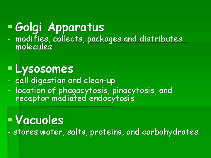 § Golgi Apparatus - modifies, collects, packages and distributes molecules § Lysosomes - cell