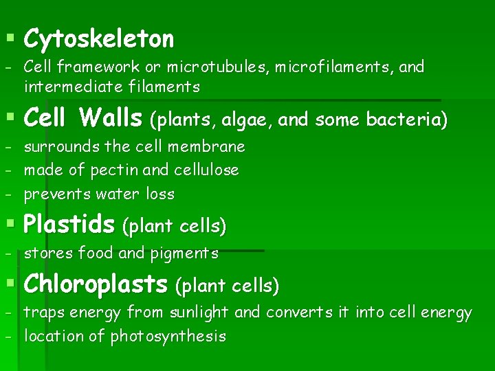§ Cytoskeleton - Cell framework or microtubules, microfilaments, and intermediate filaments § Cell Walls