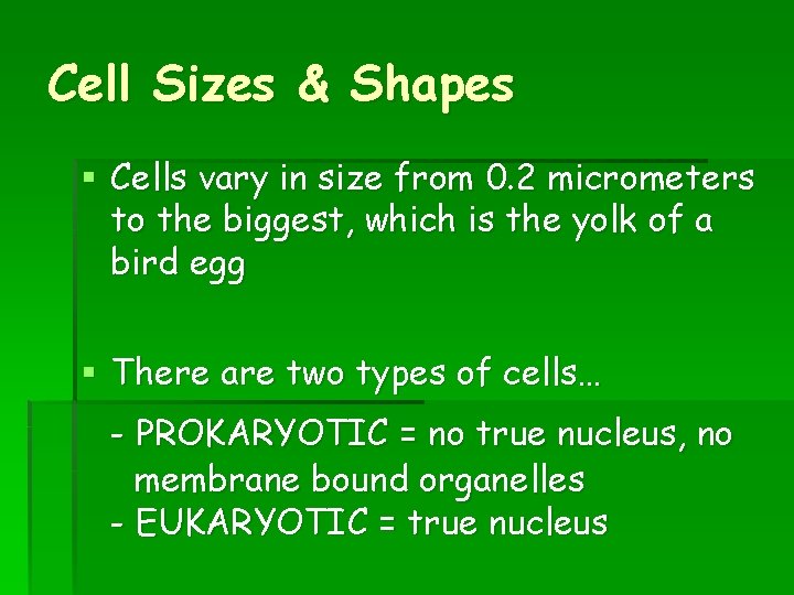 Cell Sizes & Shapes § Cells vary in size from 0. 2 micrometers to