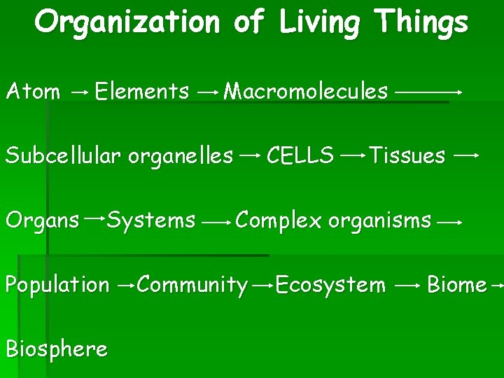 Organization of Living Things Atom Elements Macromolecules Subcellular organelles Organs Systems Population Biosphere CELLS