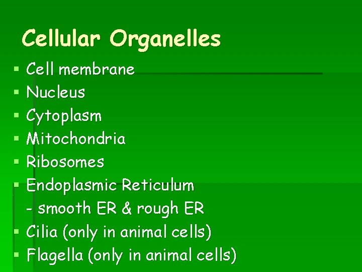 Cellular Organelles Cell membrane Nucleus Cytoplasm Mitochondria Ribosomes Endoplasmic Reticulum - smooth ER &