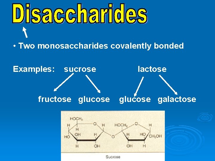  • Two monosaccharides covalently bonded Examples: sucrose fructose glucose lactose glucose galactose 