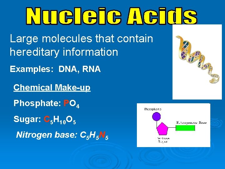 Large molecules that contain hereditary information Examples: DNA, RNA Chemical Make-up Phosphate: PO 4