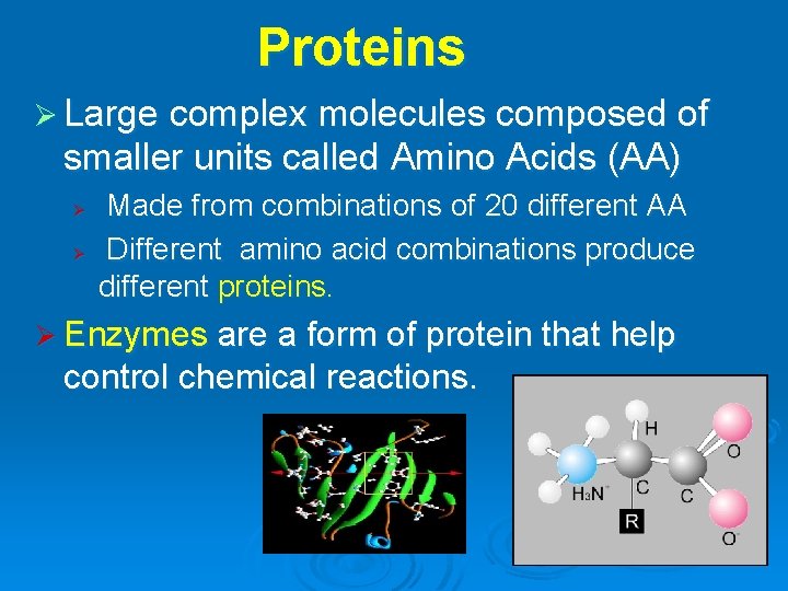 Proteins Ø Large complex molecules composed of smaller units called Amino Acids (AA) Ø
