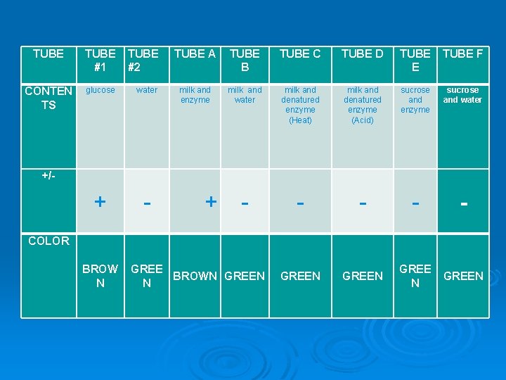 TUBE #1 TUBE #2 CONTEN TS glucose water + - TUBE A TUBE B