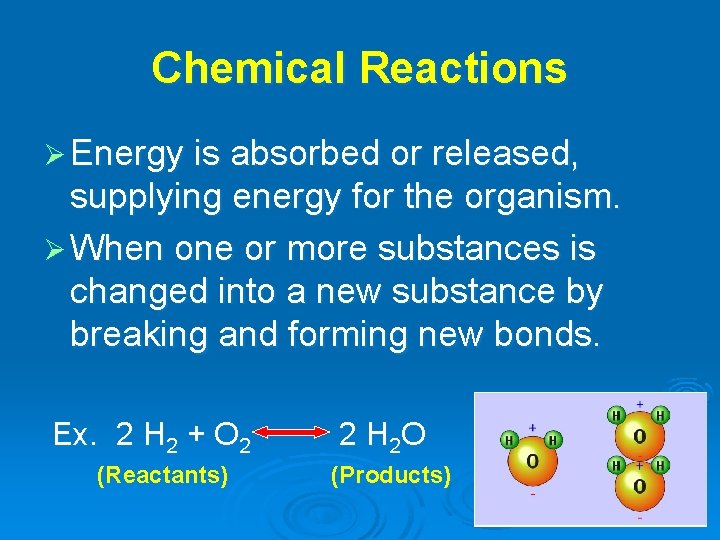 Chemical Reactions Ø Energy is absorbed or released, supplying energy for the organism. Ø