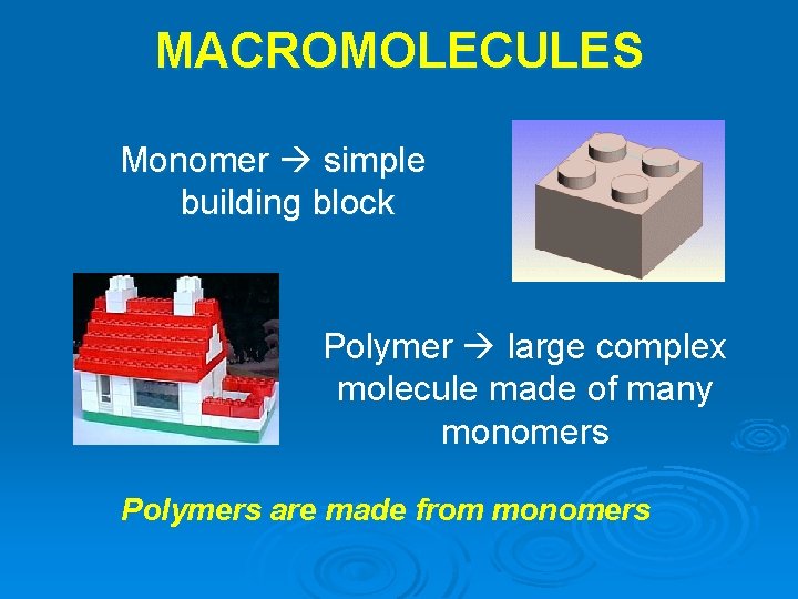 MACROMOLECULES Monomer simple building block Polymer large complex molecule made of many monomers Polymers