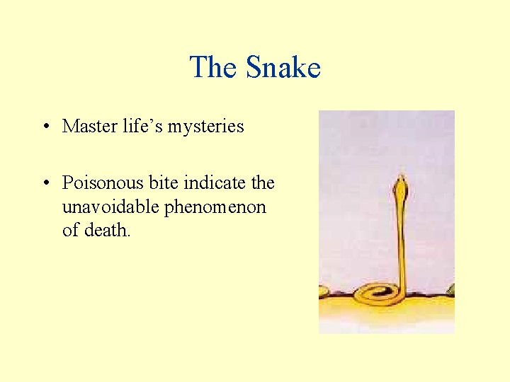 The Snake • Master life’s mysteries • Poisonous bite indicate the unavoidable phenomenon of