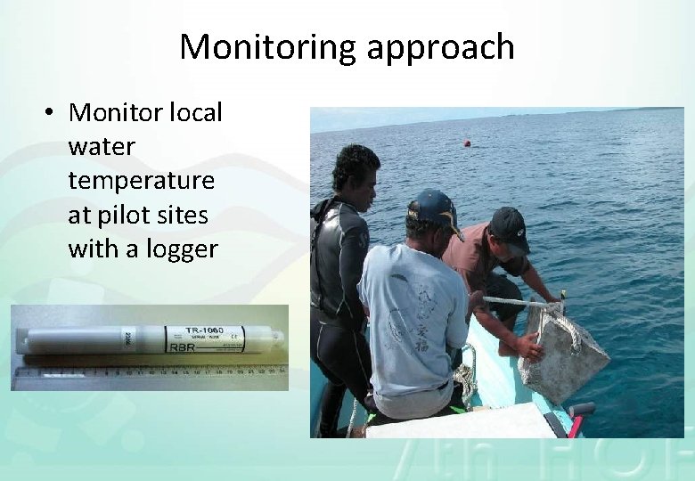 Monitoring approach • Monitor local water temperature at pilot sites with a logger 