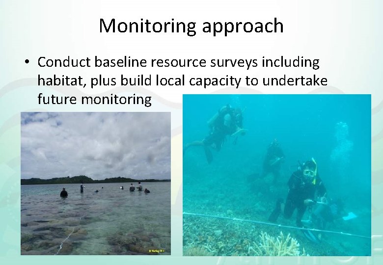 Monitoring approach • Conduct baseline resource surveys including habitat, plus build local capacity to