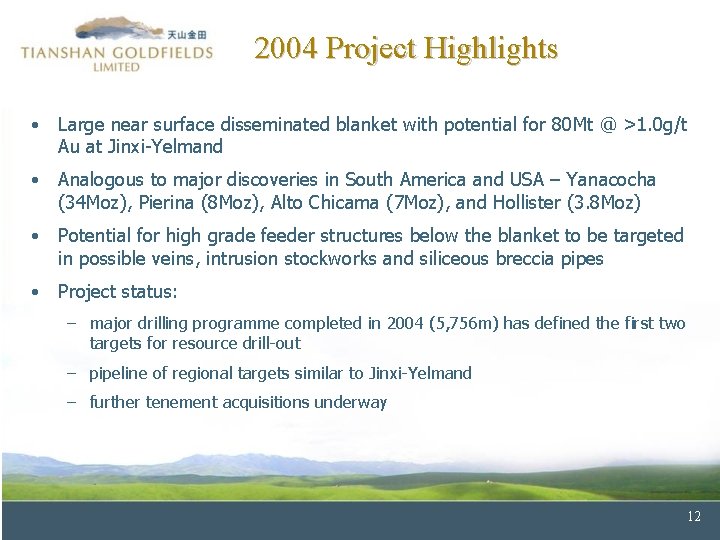 2004 Project Highlights • Large near surface disseminated blanket with potential for 80 Mt