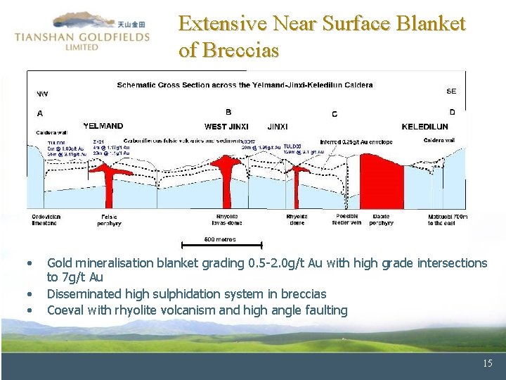 Extensive Near Surface Blanket of Breccias • • • Gold mineralisation blanket grading 0.