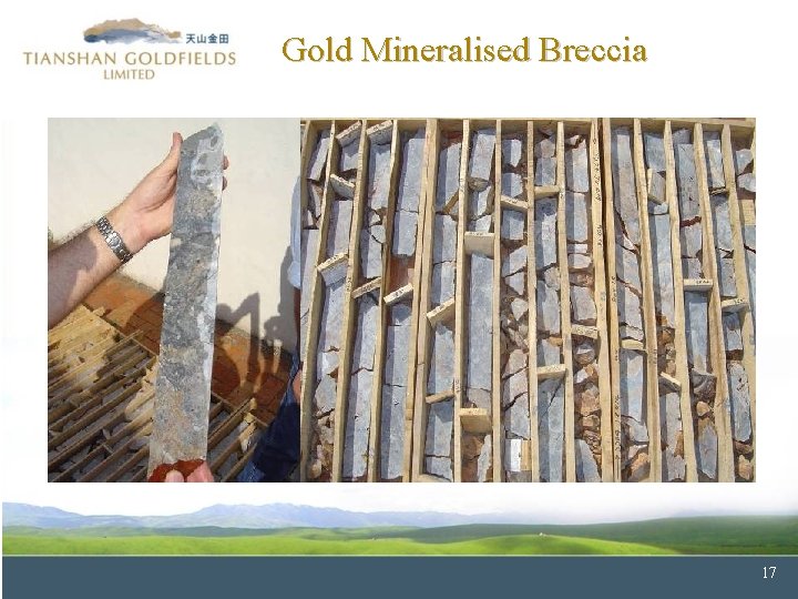Gold Mineralised Breccia 17 