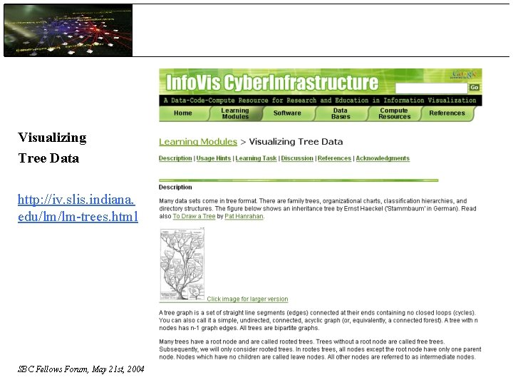 Visualizing Tree Data http: //iv. slis. indiana. edu/lm/lm-trees. html SBC Fellows Forum, May 21
