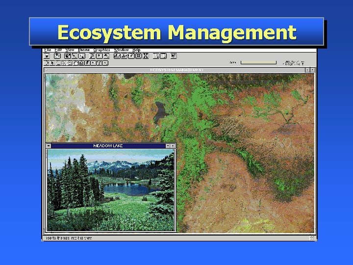 Ecosystem Management 