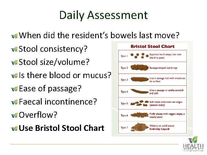 Daily Assessment When did the resident’s bowels last move? Stool consistency? Stool size/volume? Is
