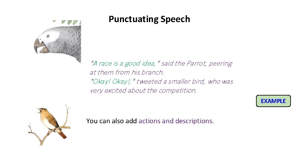 Punctuating Speech “A race is a good idea, ” said the Parrot, peering at