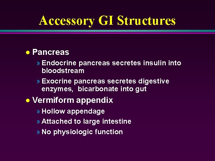 Accessory GI Structures l Pancreas » Endocrine pancreas secretes insulin into bloodstream » Exocrine