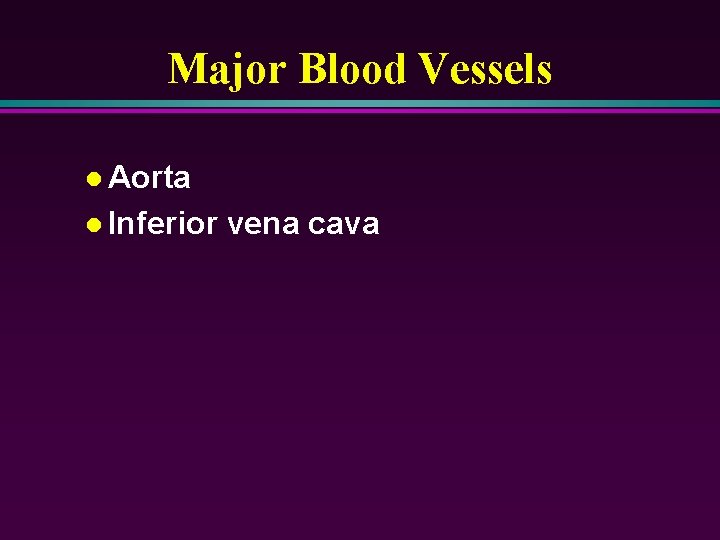 Major Blood Vessels l Aorta l Inferior vena cava 