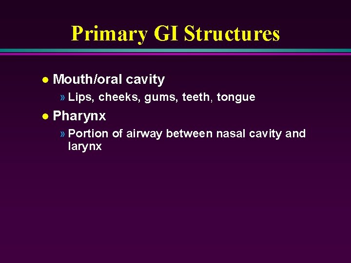Primary GI Structures l Mouth/oral cavity » Lips, cheeks, gums, teeth, tongue l Pharynx