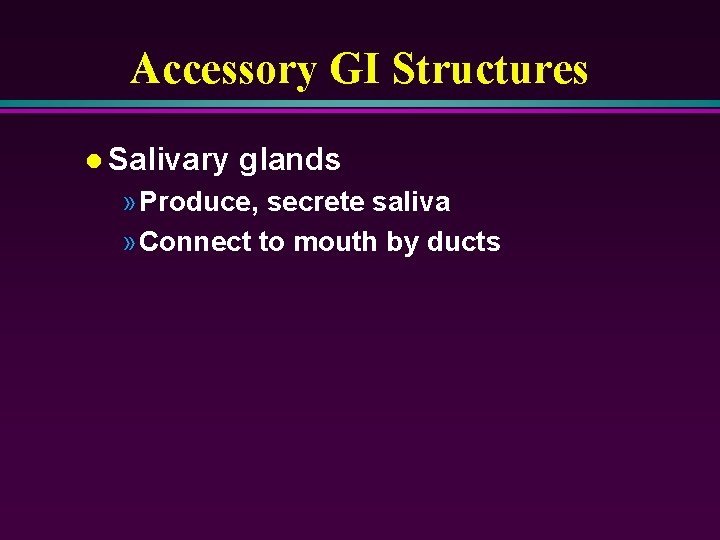 Accessory GI Structures l Salivary glands » Produce, secrete saliva » Connect to mouth