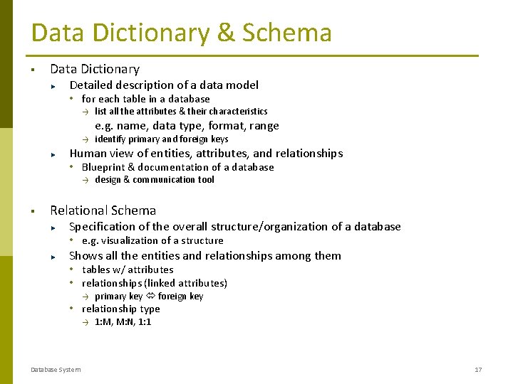Data Dictionary & Schema § Data Dictionary Detailed description of a data model • Data Dictionary & Schema § Data Dictionary Detailed description of a data model •