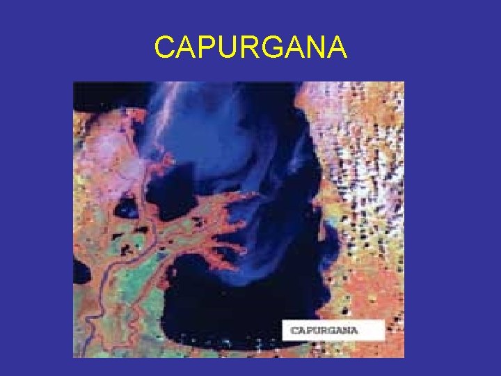 CAPURGANA 