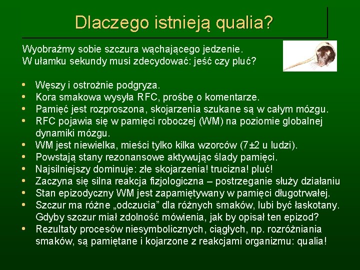 Dlaczego istnieją qualia? Wyobraźmy sobie szczura wąchającego jedzenie. W ułamku sekundy musi zdecydować: jeść