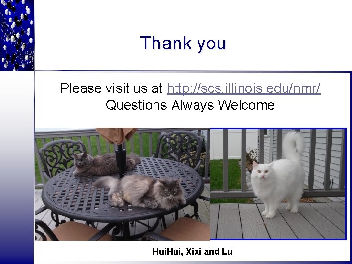 Thank you Please visit us at http: //scs. illinois. edu/nmr/ Questions Always Welcome LU