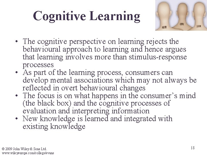 Cognitive Learning • The cognitive perspective on learning rejects the behavioural approach to learning