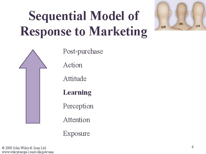 Sequential Model of Response to Marketing Post-purchase Action Attitude Learning Perception Attention Exposure ©