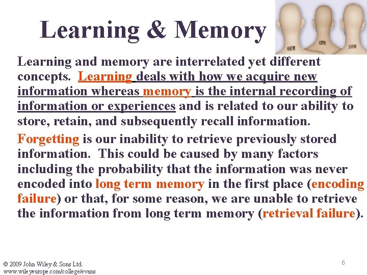 Learning & Memory Learning and memory are interrelated yet different concepts. Learning deals with