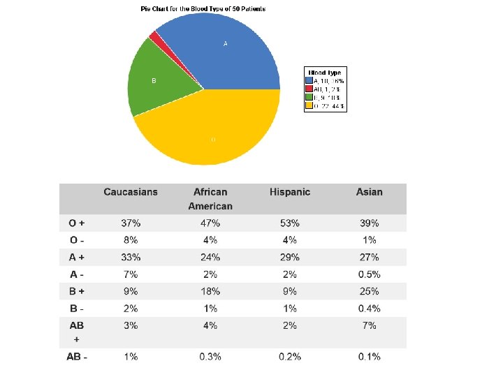 Grading Rubric Lab Blood Type Fingerprint Mystery HONORS