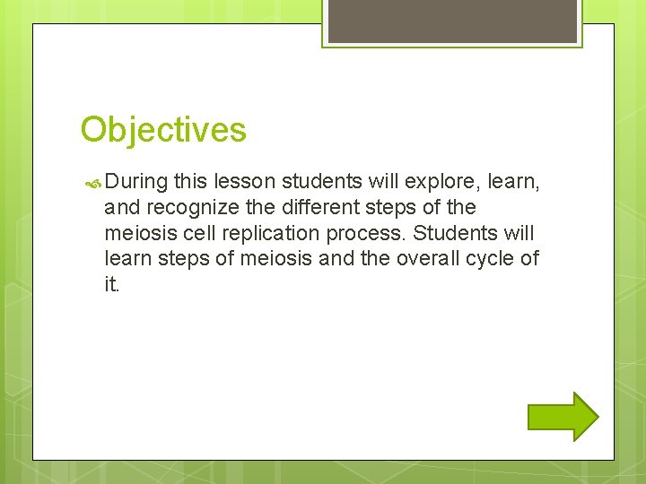 Objectives During this lesson students will explore, learn, and recognize the different steps of