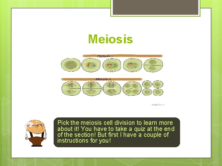 Meiosis Pick the meiosis cell division to learn more about it! You have to