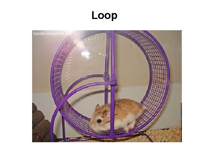Loop 