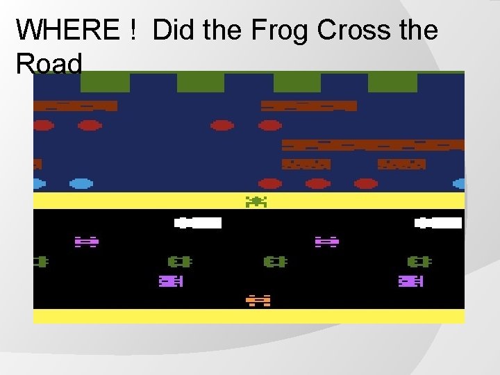 WHERE ! Did the Frog Cross the Road If Crosswalk available ………. ; If